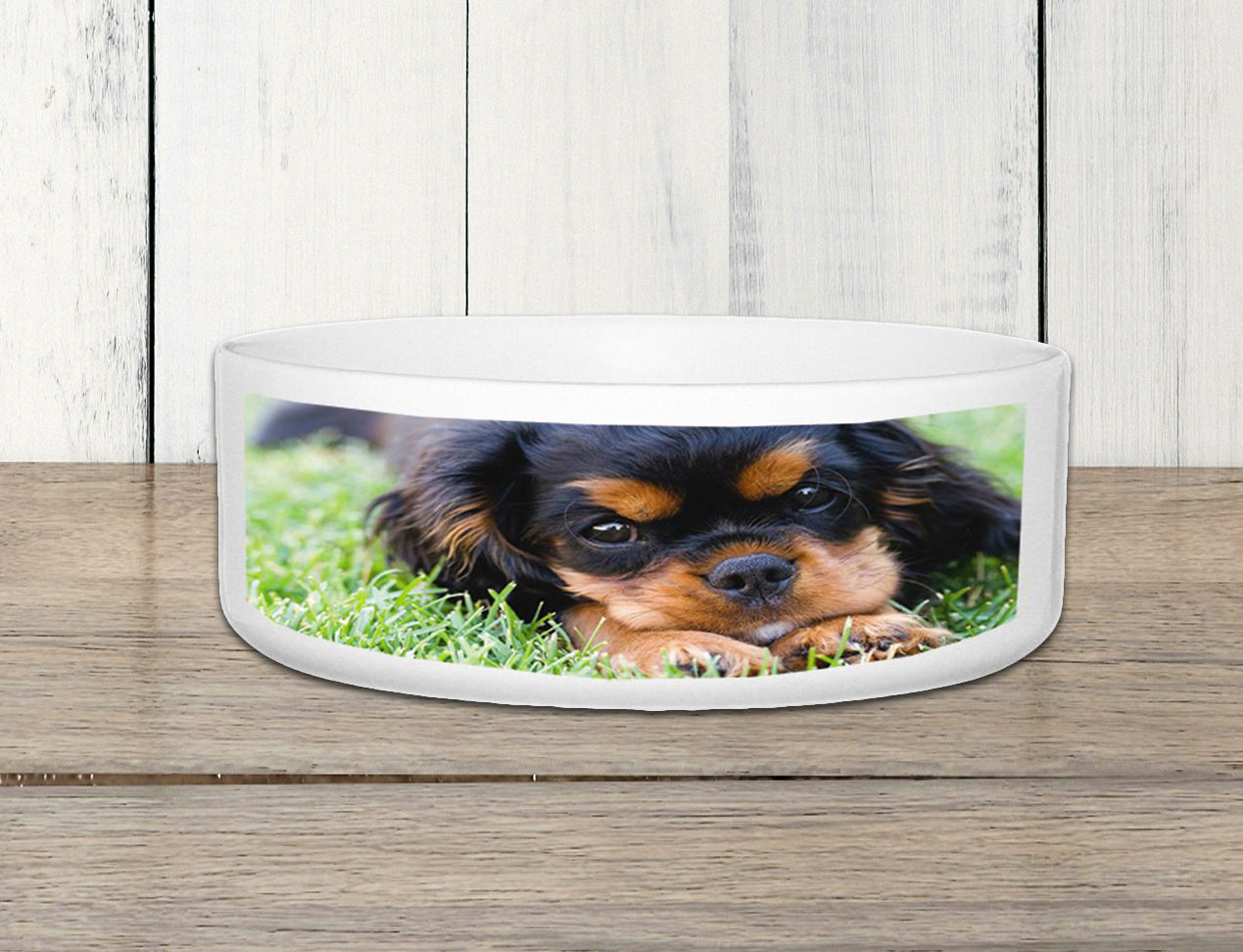 Personalised spaniel dog bowls hot sale