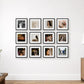 A 3x4 grid of twelve framed photo tiles on Diamond Photo Australia. The black-and-white and color photographs hang on a white wall in a styled interior room with a window, plant, lamp, and wooden cabinet.