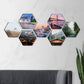 Wide Photo Gallery of Hexagon shaped Photo Tiles hanging on Wall.